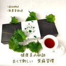 こんぶ美人・養命酢2本＆美人しそ茶1p5