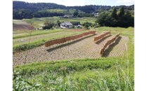 【無農薬・化学肥料不使用】大地の恵みをたっぷり受けた うるち米　ヒノヒカリ（玄米）5kg