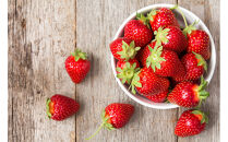 こだわり栽培　いちご　はるひ　【2025年12月～2026年4月末までお届け】