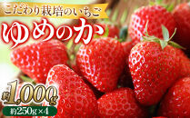 こだわり栽培&nbsp;いちご&nbsp;ゆめのか約1kg（約250g×4パック）【2026年1月～2026年4月末までお届け】