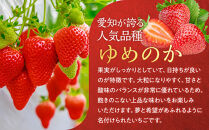 こだわり栽培&nbsp;いちご&nbsp;ゆめのか約1kg（約250g×4パック）【2026年1月～2026年4月末までお届け】