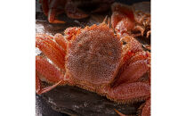 北海道産毛ガニ1尾&nbsp;570g前後_05580