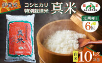 伊賀米コシヒカリ特別栽培米「真米」白米10kg×6回お届け定期便