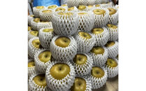 1255.【2026年度発送先行予約】訳あり　新甘泉　3kg