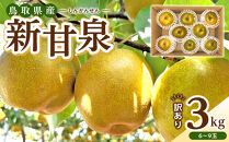 【2026年度発送先行予約】訳あり&nbsp;新甘泉&nbsp;3kg【梨&nbsp;なし&nbsp;しんかんせん&nbsp;5キロ&nbsp;家庭用&nbsp;訳アリ&nbsp;令和8年&nbsp;先行受付&nbsp;新鮮&nbsp;鳥取県産&nbsp;鳥取県&nbsp;北栄町&nbsp;おすすめ&nbsp;人気】