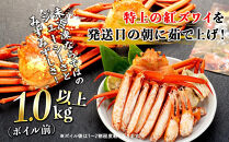 年内発送【訳あり】金沢港より直送！ボイル紅ズワイガニ 2～3杯セット 紅ずわいがに 2025年12月発送 カニ 姿 金沢市 北陸沖水揚げ 日本海 訳あり 冷蔵便 朝茹で ボイル済み 鮮度抜群 食べやすい カニ身 かにしゃぶ かに鍋 海鮮 魚介類 高級食材 ギフト 贈答用 人気 おすすめ お取り寄せ ふるさと納税  紅ズワイガニ かに カニ ズワイガニ ずわいがに紅ズワイガニ かに カニ ズワイ