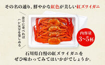 年内発送【訳あり】金沢港より直送！ボイル紅ズワイガニ 3～5杯セット 紅ずわいがに　2025年12月発送 カニ 姿 金沢市 北陸沖水揚げ 日本海 訳あり 冷蔵便 朝茹で ボイル済み 鮮度抜群 食べやすい カニ身 かにしゃぶ かに鍋 海鮮 魚介類 高級食材 冬の味覚 グルメ ギフト 贈答用 人気 おすすめ お取り寄せ 通販 送料無料 ふるさと納税