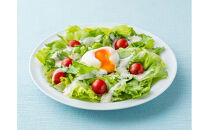 キューピーシーザーサラダドレッシング 380ml x 3本