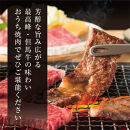 ＜但馬牛＞焼肉&nbsp;赤身&霜降り&nbsp;特選セット700g【FARMEISTER平山牛舗FH03】