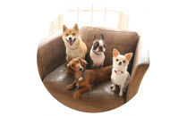 【Sizeオーダーあり】ザオラル・リカバリーαバンド&nbsp;BK/SI｜横浜市&nbsp;高機能バンド&nbsp;ペットアクセサリーをご希望のサイズでオーダーメイド