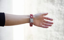 【Size21cm】ザオラル・リカバリーαバンド&nbsp;RD/SI｜横浜市&nbsp;高機能&nbsp;ブレスレット&nbsp;アクセサリー