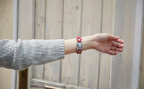 【Size17cm】ザオラル・リカバリーαバンド&nbsp;RD/SI｜横浜市&nbsp;高機能&nbsp;ブレスレット&nbsp;アクセサリー