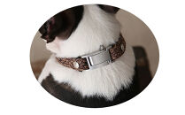 【Size27cm】ザオラル・リカバリーαバンド&nbsp;BR/SI｜横浜市&nbsp;高機能バンド&nbsp;ペット用アクセサリー