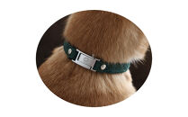 【Sizeオーダーあり】ザオラル・リカバリーαバンド&nbsp;GR/SI｜横浜市&nbsp;高機能バンド&nbsp;ペットアクセサリーをご希望のサイズでオーダーメイド