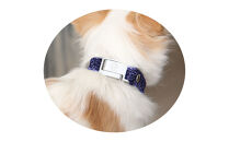 【Size25cm】ザオラル・リカバリーαバンド&nbsp;NV/SI｜横浜市&nbsp;高機能バンド&nbsp;ペット用アクセサリー