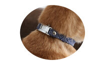 【Sizeオーダーあり】ザオラル・リカバリーαバンド&nbsp;NV/SI｜横浜市&nbsp;高機能バンド&nbsp;ペットアクセサリーをご希望のサイズでオーダーメイド