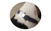 【Size31cm】ザオラル・リカバリーαバンド&nbsp;NV/SI｜横浜市&nbsp;高機能バンド&nbsp;ペット用アクセサリー