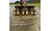 【定期便】新潟県佐渡産&nbsp;令和7年産&nbsp;【在来コシヒカリ】&nbsp;玄米&nbsp;5kg×全5回