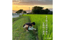 【定期便】新潟県佐渡産&nbsp;令和7年産&nbsp;【在来コシヒカリ】&nbsp;白米&nbsp;5kg×全5回