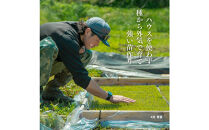 【定期便】新潟県佐渡産&nbsp;令和7年産&nbsp;【にこまる】&nbsp;玄米&nbsp;5kg×全5回