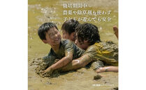 【定期便】新潟県佐渡産&nbsp;令和7年産&nbsp;【にこまる】&nbsp;玄米&nbsp;5kg×全5回