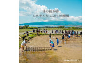 【定期便】新潟県佐渡産&nbsp;令和7年産&nbsp;【にこまる】&nbsp;玄米&nbsp;5kg×全5回