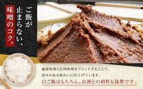 【2026年3月発送】【元祖もつ煮】永井食堂の&nbsp;「もつっ子（800ｇ×4袋）」