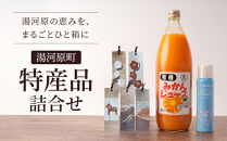 湯河原町特産品詰め合わせ&nbsp;|&nbsp;湯河原町&nbsp;みかんジュース&nbsp;木象嵌&nbsp;しおり&nbsp;温泉ミスト