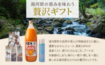湯河原町特産品詰め合わせ&nbsp;|&nbsp;湯河原町&nbsp;みかんジュース&nbsp;木象嵌&nbsp;しおり&nbsp;温泉ミスト