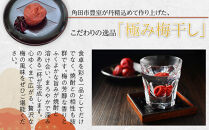 角田市&nbsp;岸浪園&nbsp;極み梅干し&nbsp;塩分約17％&nbsp;100ｇ×4パック&nbsp;限定100個