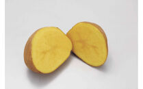 国産冷凍野菜　インカのめざめ　2袋セット&nbsp;【&nbsp;冷凍食品&nbsp;簡単調理&nbsp;お手軽&nbsp;北海道&nbsp;旭川市&nbsp;】_05596