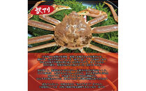 境港産&nbsp;松葉ガニ350g（活冷）訳あり