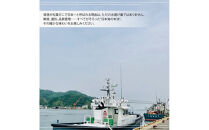 境港産&nbsp;松葉ガニ350g（活冷）訳あり