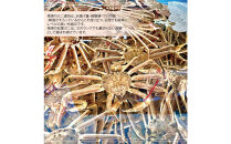 境港産&nbsp;松葉ガニ350g（活冷）訳あり