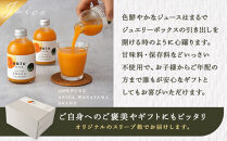 nalu&nbsp;juice&nbsp;有田みかん&nbsp;250ml&nbsp;×&nbsp;12本&nbsp;セット&nbsp;鳴川農園