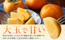 1258.【先行予約】輝太郎柿　赤秀3kg（7～10玉）