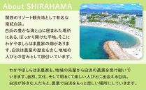 しらはまレタポタ&nbsp;6袋&nbsp;セット&nbsp;わかやましらはま農家&nbsp;特製&nbsp;ポタージュスープ