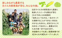 しらはまレタポタ&nbsp;6袋&nbsp;セット&nbsp;わかやましらはま農家&nbsp;特製&nbsp;ポタージュスープ