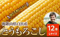 ［先行予約］しらはま農家&nbsp;とうもろこし&nbsp;Lサイズ&nbsp;12本&nbsp;［2026年6月発送予定］