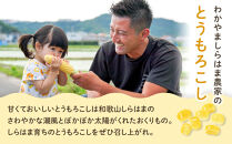 ［先行予約］しらはま農家&nbsp;とうもろこし&nbsp;Lサイズ&nbsp;12本&nbsp;［2026年6月発送予定］