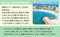 しらはまソラポタ&nbsp;6袋&nbsp;セットわかやましらはま農家&nbsp;特製&nbsp;ポタージュスープ