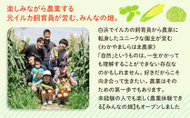 しらはまソラポタ&nbsp;6袋&nbsp;セットわかやましらはま農家&nbsp;特製&nbsp;ポタージュスープ