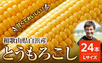 ［先行予約］しらはま農家&nbsp;とうもろこし&nbsp;Lサイズ24本&nbsp;［2026年6月発送予定］