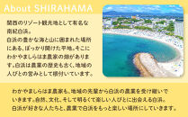 ［先行予約］しらはま農家&nbsp;とうもろこし&nbsp;Lサイズ24本&nbsp;［2026年6月発送予定］