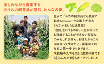 ［先行予約］しらはま農家&nbsp;とうもろこし2Lサイズ20本&nbsp;［2026年6月発送予定］