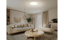 LEDシーリングライト&nbsp;12畳&nbsp;調光&nbsp;CEA12D-7.0