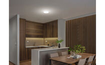 LED小型シーリングライト&nbsp;　昼光色&nbsp;SCL20D-U2