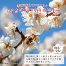 紀州南高梅つぶれ梅（はちみつ漬）合計800g（400gx2）&nbsp;塩分8%&nbsp;[AJ10]