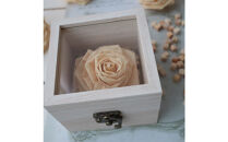 ひのき香る&nbsp;癒しのバラ　HONOKI-BLOOM