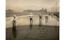 【定期便】【令和7年産新米】厳選こだわり南魚沼産コシヒカリ「こまがた農園のお米」&nbsp;4kg(2kg×2袋)×3回